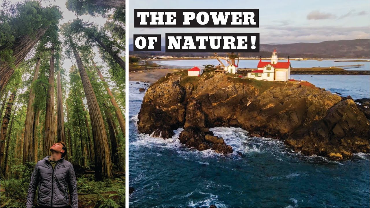 REAL CALIFORNIA | WORLDS TALLEST TREES