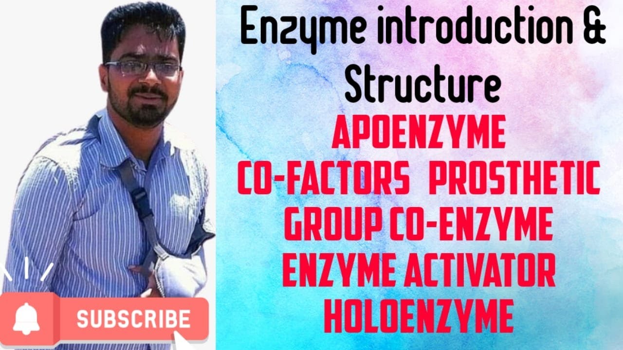 Enzyme Introduction & Structure of Enzyme | Enzyme in Hindi | एंजाइम सामान्य परिचय