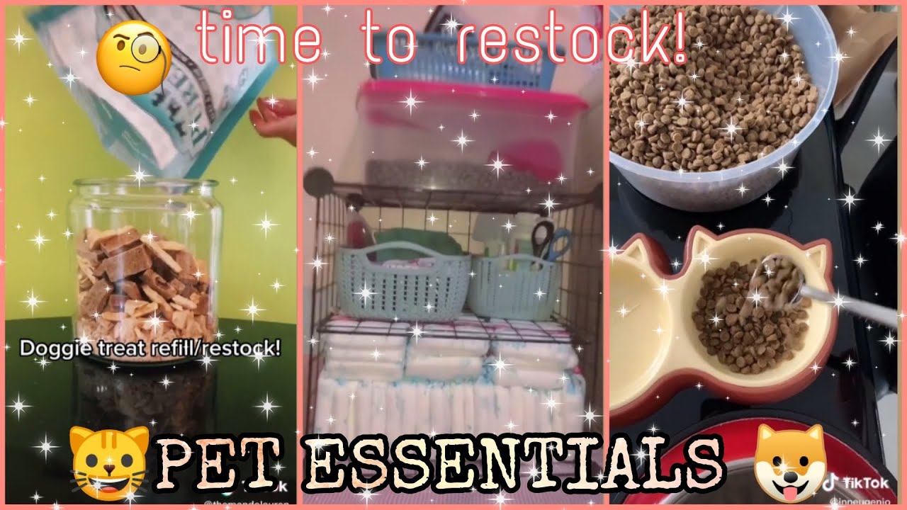 PET ESSENTIALS Restock & Organize 🐾 ft. Dog/Cat food, Pet Care items ❣️ Tiktok Compilation finds.