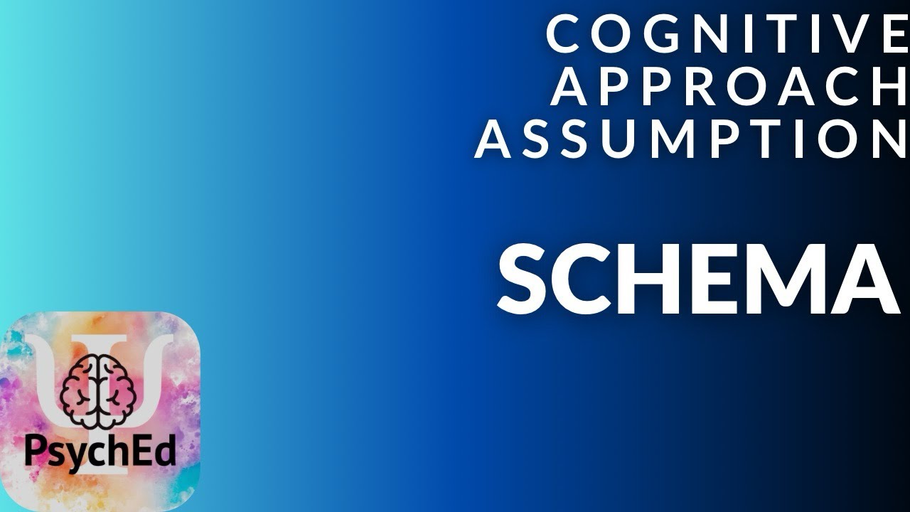 Cognitive approach assumption - Schema
