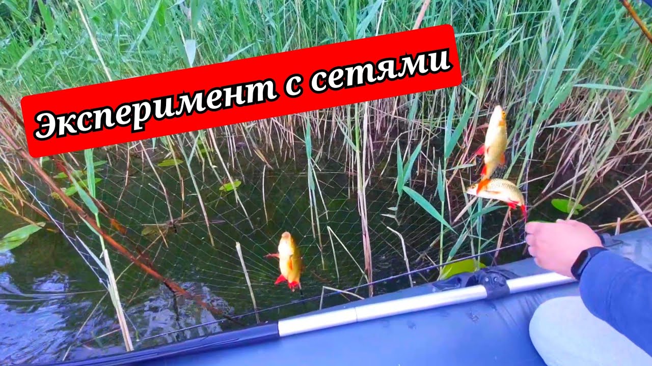Браконьерство? Рыбалка на телевизор в Беларуси. Экран против удочки эксперимент