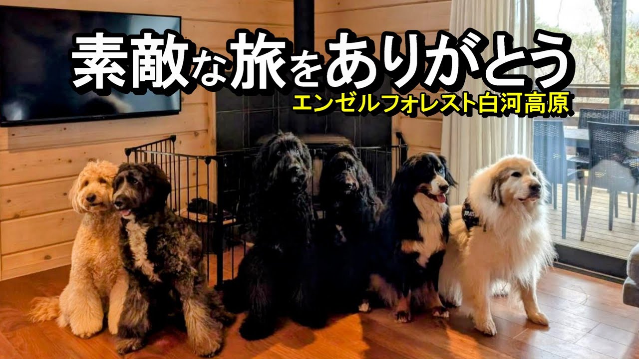 【ラム＆ピコ】リゾート休暇を満喫しました【エンゼルフォレスト白河高原2日目】