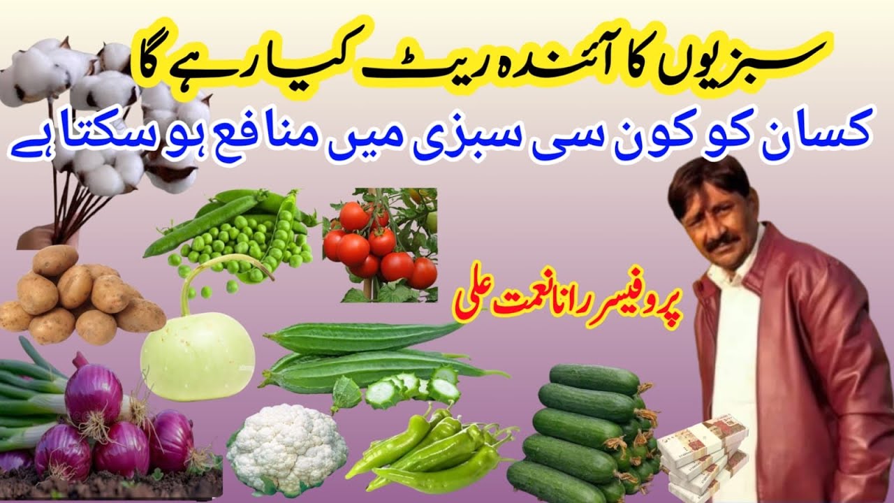 How will the rate of future vegetables be? آئندہ سبزیوں کا ریٹ کیسا رہے گا