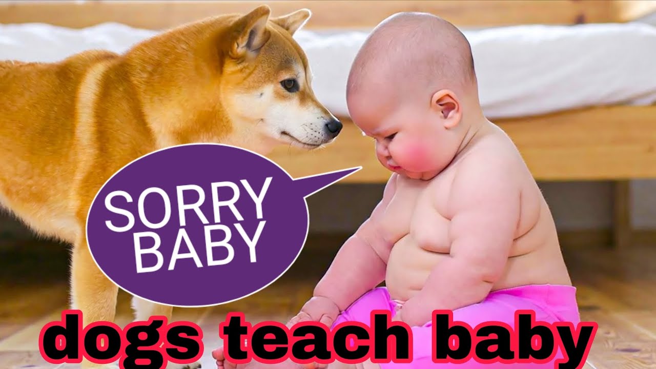 Baby falls in love || incredible view cute baby || cute and adorable babies moments try don't laugh