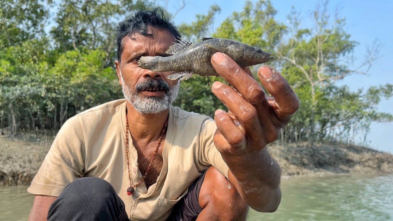 খ্যাবলা জাল খেপিয়ে চার ধরে বরশি দিয়ে মাছ ধরলাম Sundarban river fishing!!!