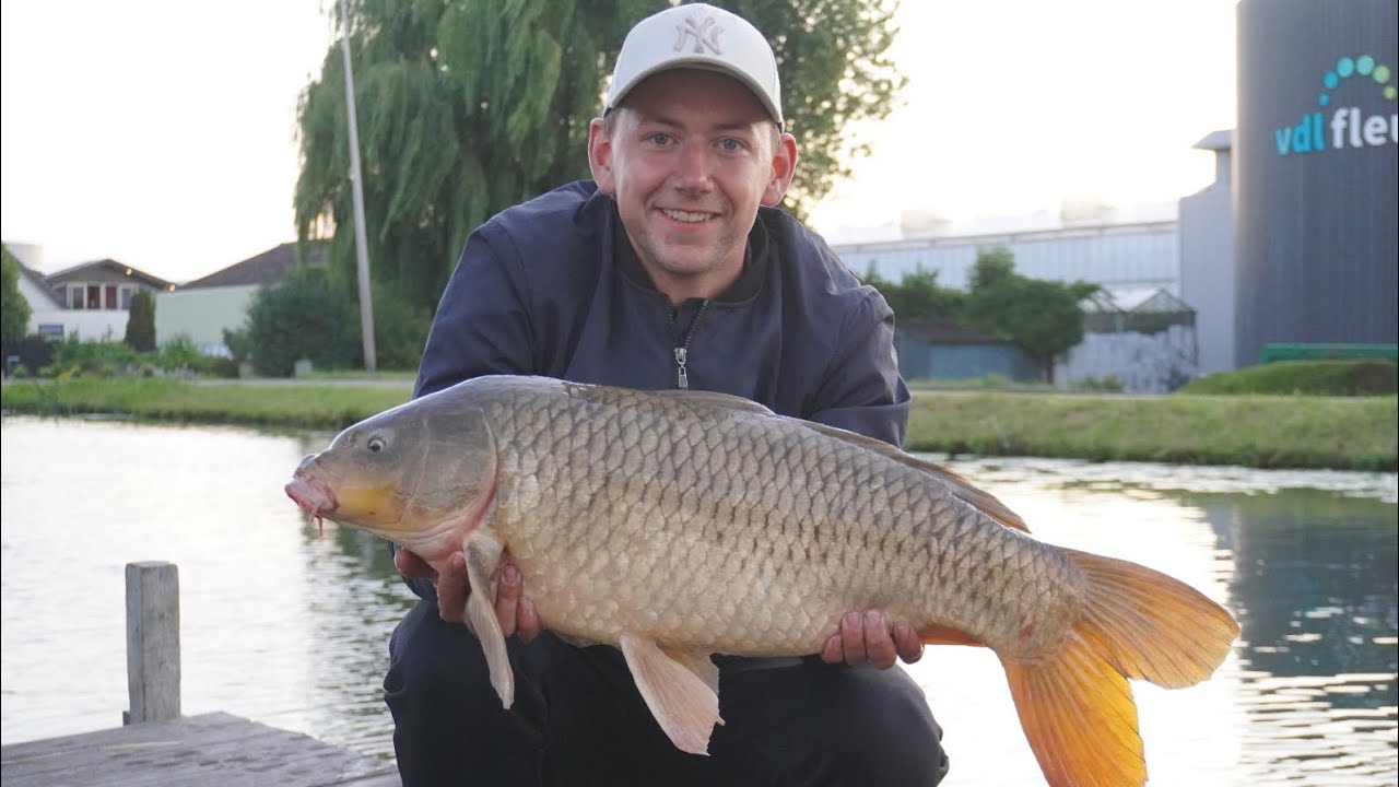 Karpervissen: Slachten Op Het Kanaal Met Particles | DWFishingteam