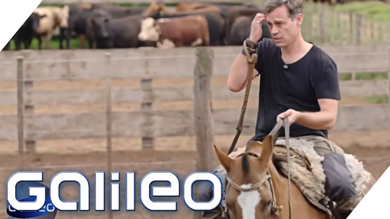 Argentinisches Rindfleisch: Darum sind die Discounter-Produkte so billig | Galileo | ProSieben