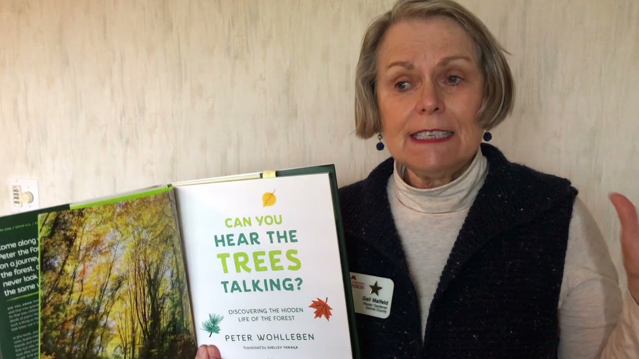 Can You Hear the Trees Talking reviewed by Gail