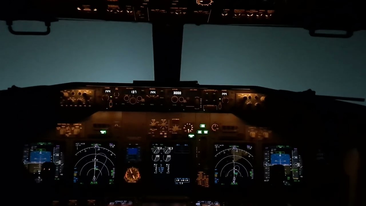 Boeing 737  Double Manual Go-Around in Iasi Airport  Pilot Eye Cockpit