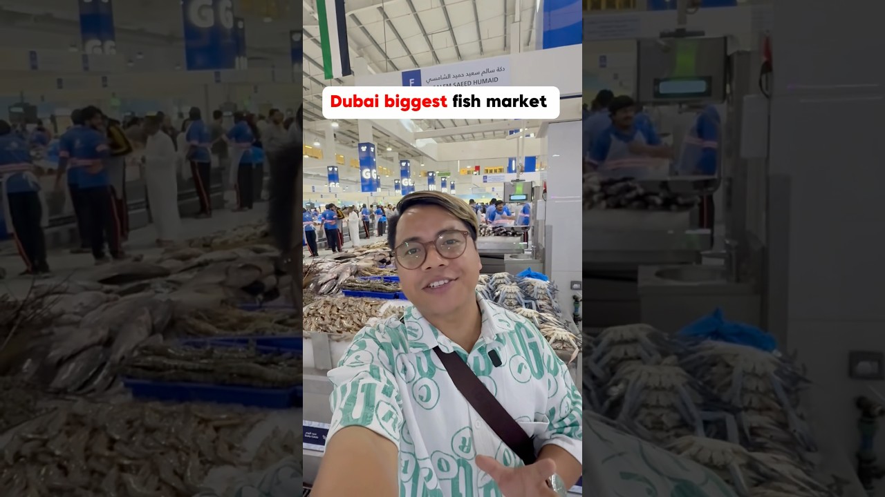 Biggest fish market in Dubai 😱🔥🔥 #youtubeshorts #dubai #uae #shorts