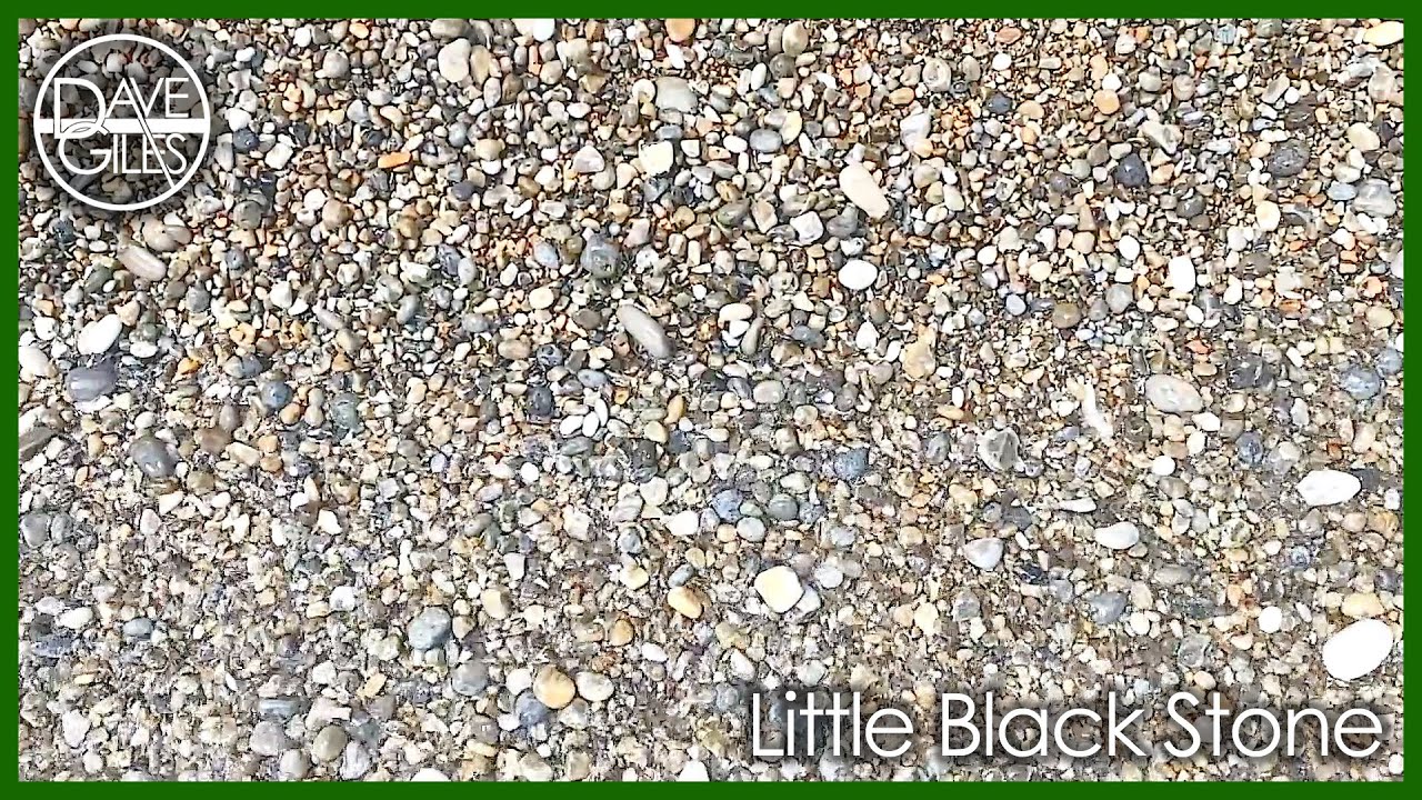 Dave Giles - Little Black Stone (Official Lyric Video)