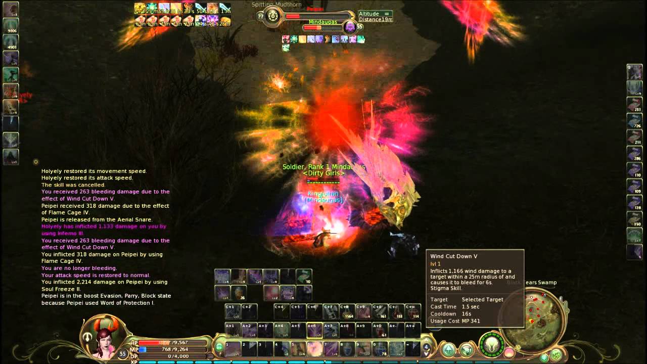 Aion sorcerer  