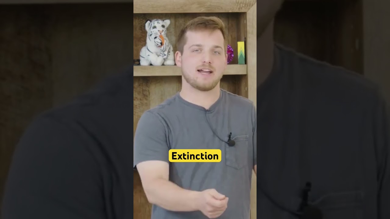 Extinction in ABA #abatherapy #extinction #autism #behaviors #neurodiverse #neurodiversity #goally