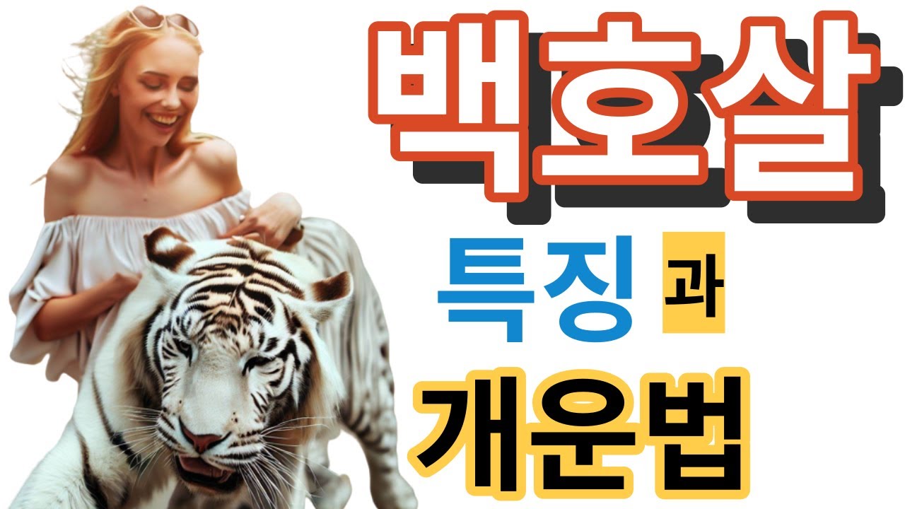백호살 특징과 개운법