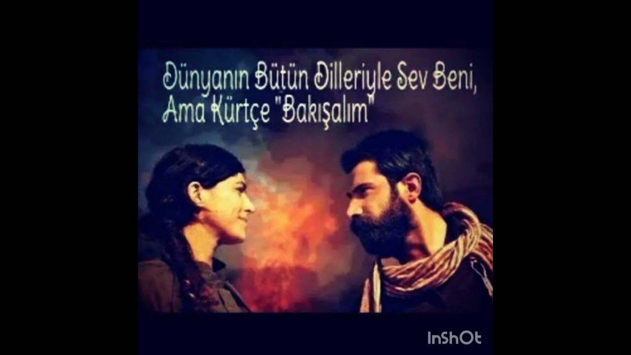 Kürtçe 4 (DILEMİN)