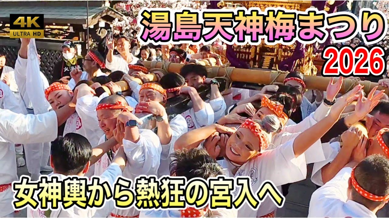 【湯島天神梅まつり2025】女神輿 激しい宮入道中！熱狂の宮入へ！迫力満点！