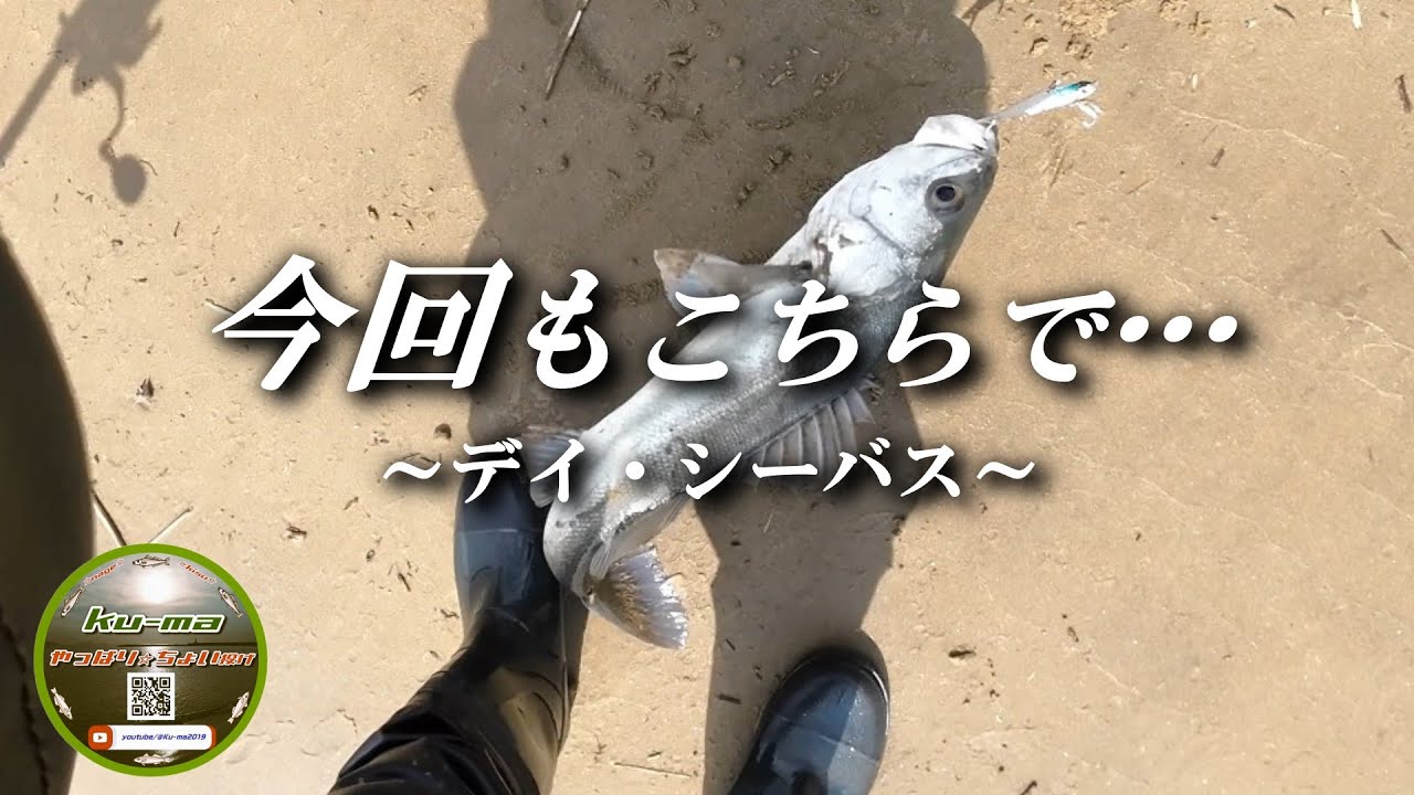 【北九州釣り】今回も…🙋巻くだけで釣れる⁉️～デイ・シーバス～