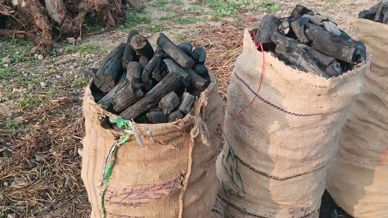 Charcoal manufacturing process #kgncharcoalvlogs 8555957310