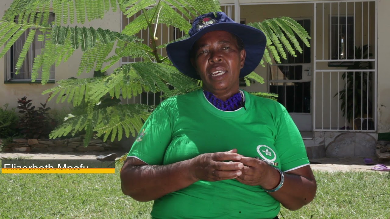 Agroecology Viability Assessment in Zimbabwe: ActionAid Zimbabwe and Fambidzanai Permaculture Centre
