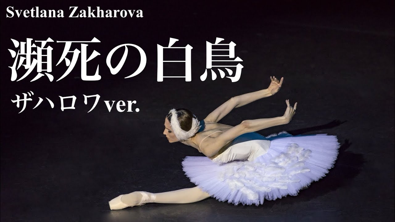 【バレエ】ザハロワによる「瀕死の白鳥」を解説　#バレエ #ballet #dance