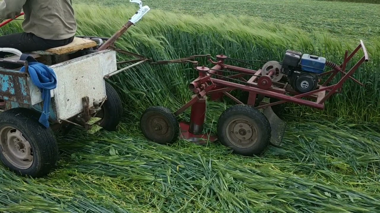 САМОДЕЛЬНАЯ РОТОРНАЯ КОСИЛКА в паре с мотоблоком. Косим высокий и густой ячмень.