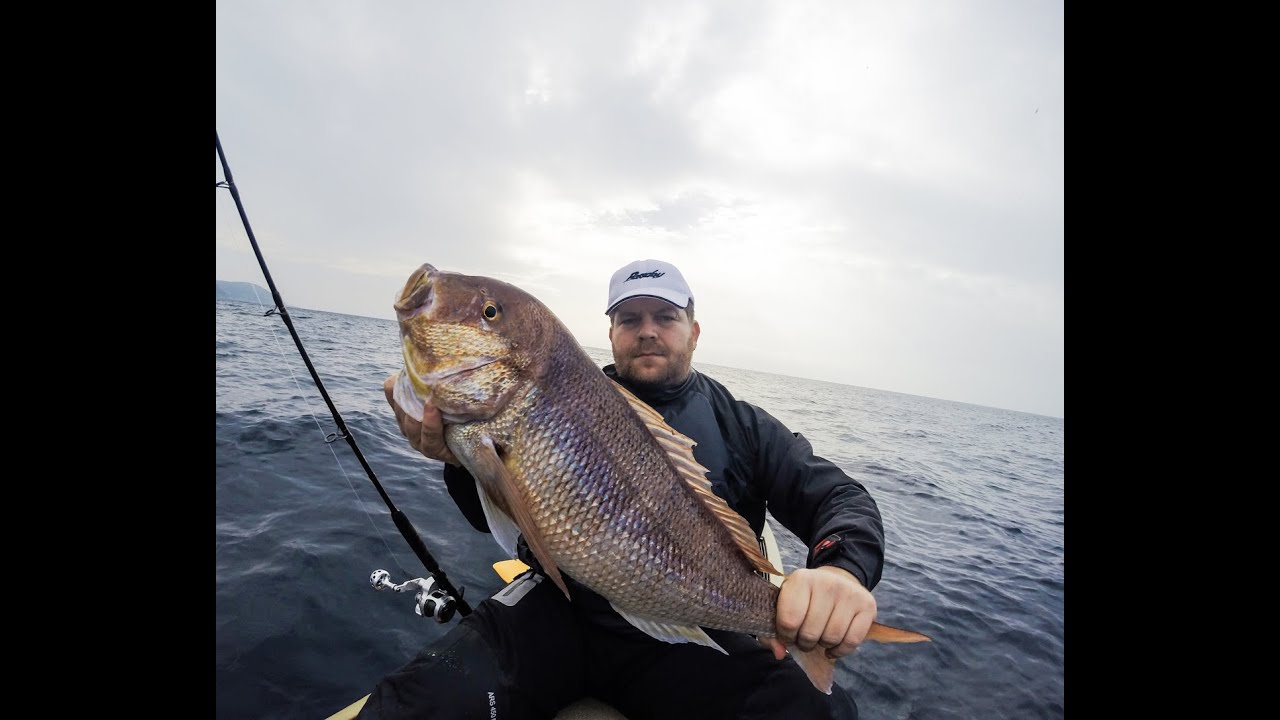 NS Tv #4 Big Dentex (Snapper) with Inchiku Jigging from a Native Slayer 13. Tailwalk Gotham C61M