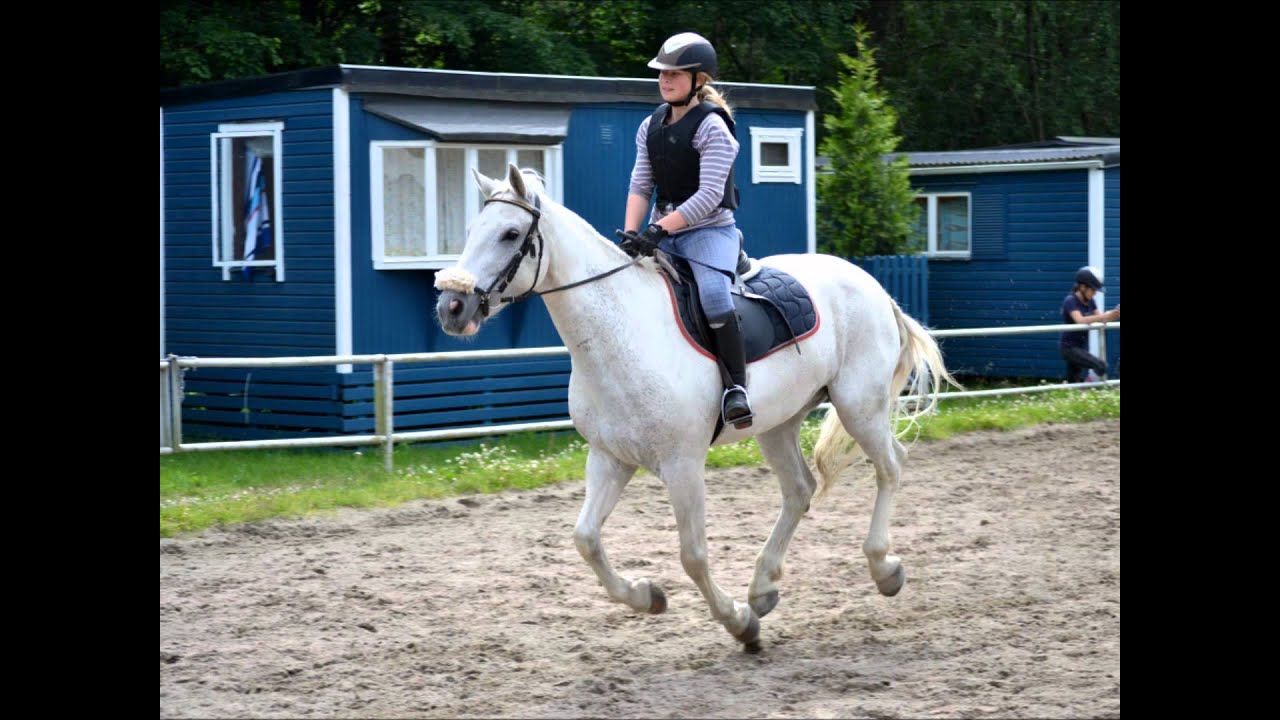Ranchens ridläger 2012