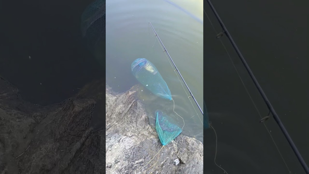 paramada fishing part  4