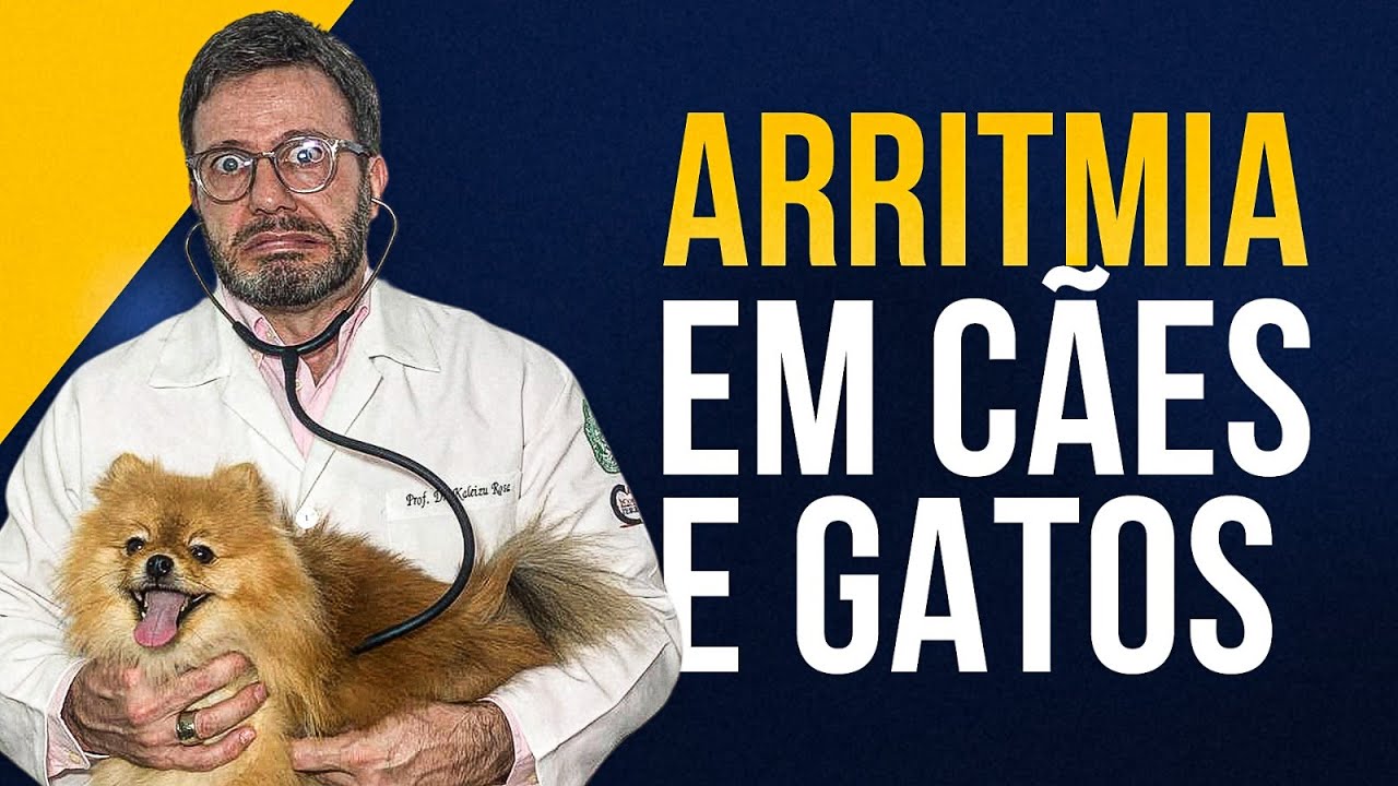 Quando tratar arritmia em cães e gatos