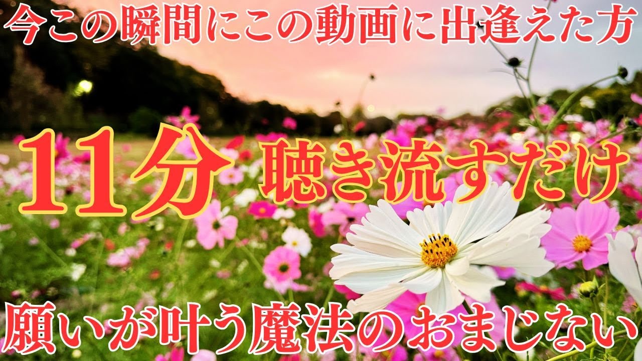 【今この瞬間にここへ辿り着いたことが、最初の合図です】難しいことは何もしなくて大丈夫。ただ11分、音に身を預けてください。