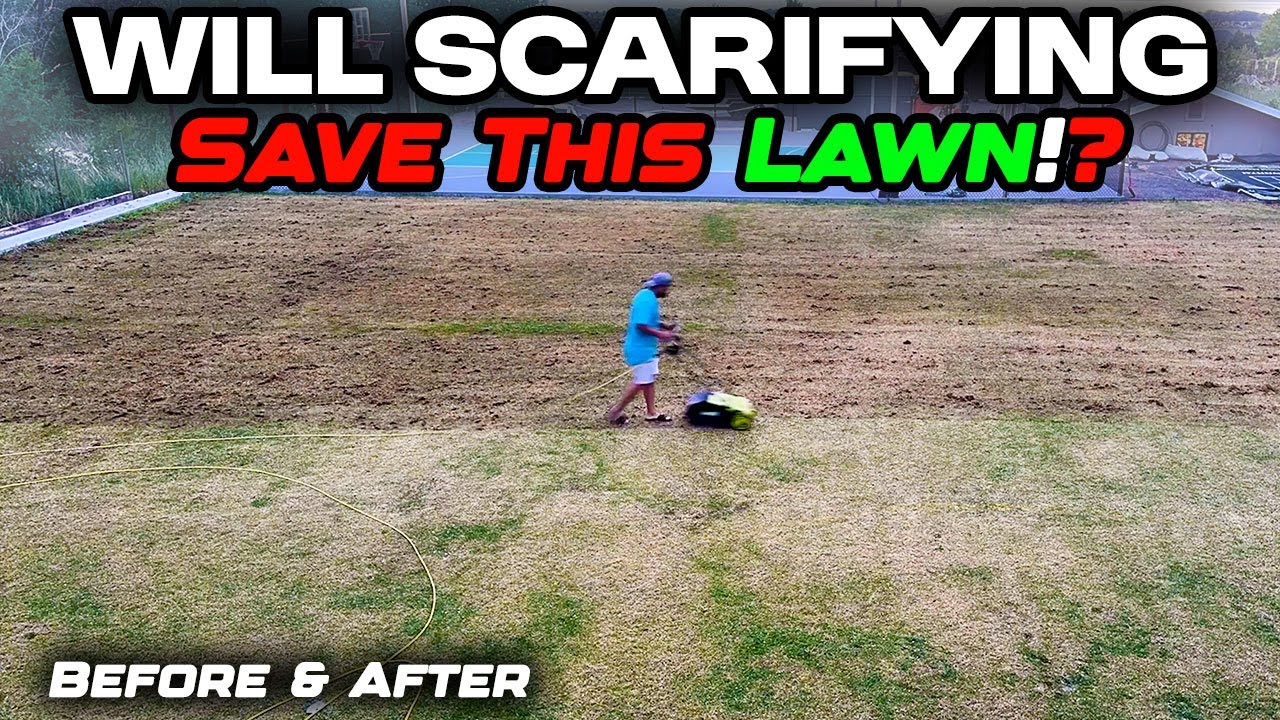 Dead Lawn!? Watch What Happened When I Dethatched & Scarified It &ndash; Insane Results!
