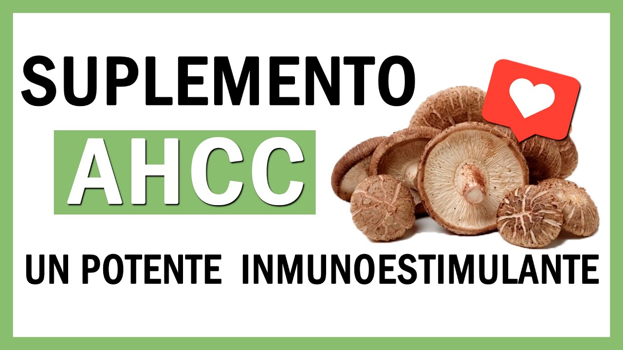 Hongos (AHCC) Influencia en el sistema inmunológico ✅ (Dr. Domingo Pérez León)