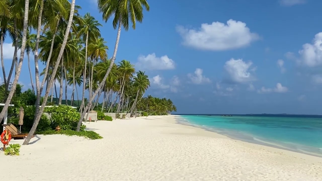 Ocean Waves White Noise | Sleep, Study, Insomnia Relief | Beach Sounds 2 Hours