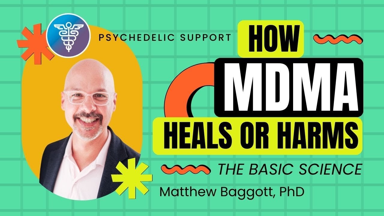 How Does MDMA Heal or Harm? Basic Science of Therapeutic Potential