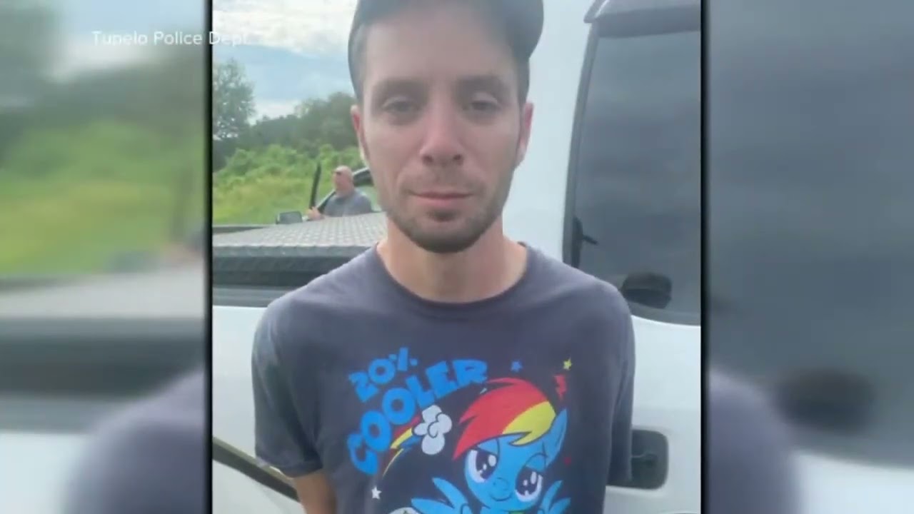 Brony Steals Airplane, then his fuel runs out...