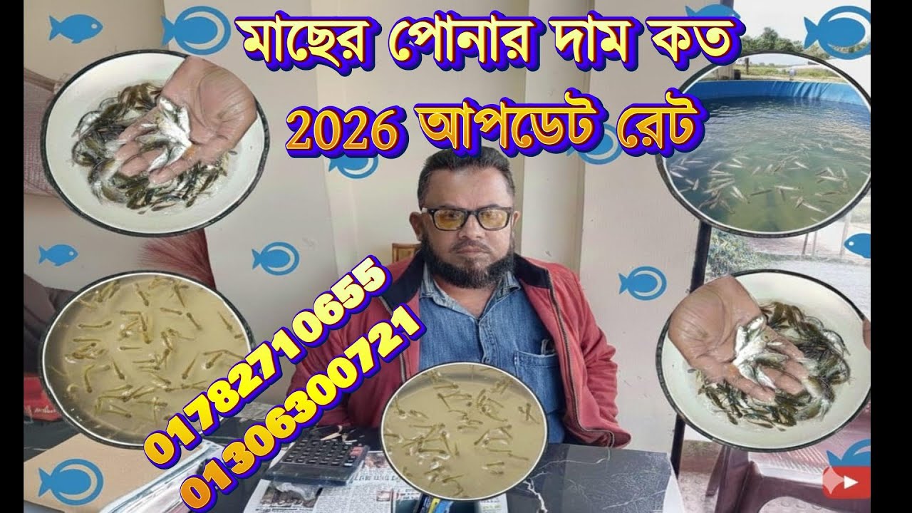 মাছের পোনার দাম কত 2026 আপডেট রেট ধানি মাছ
