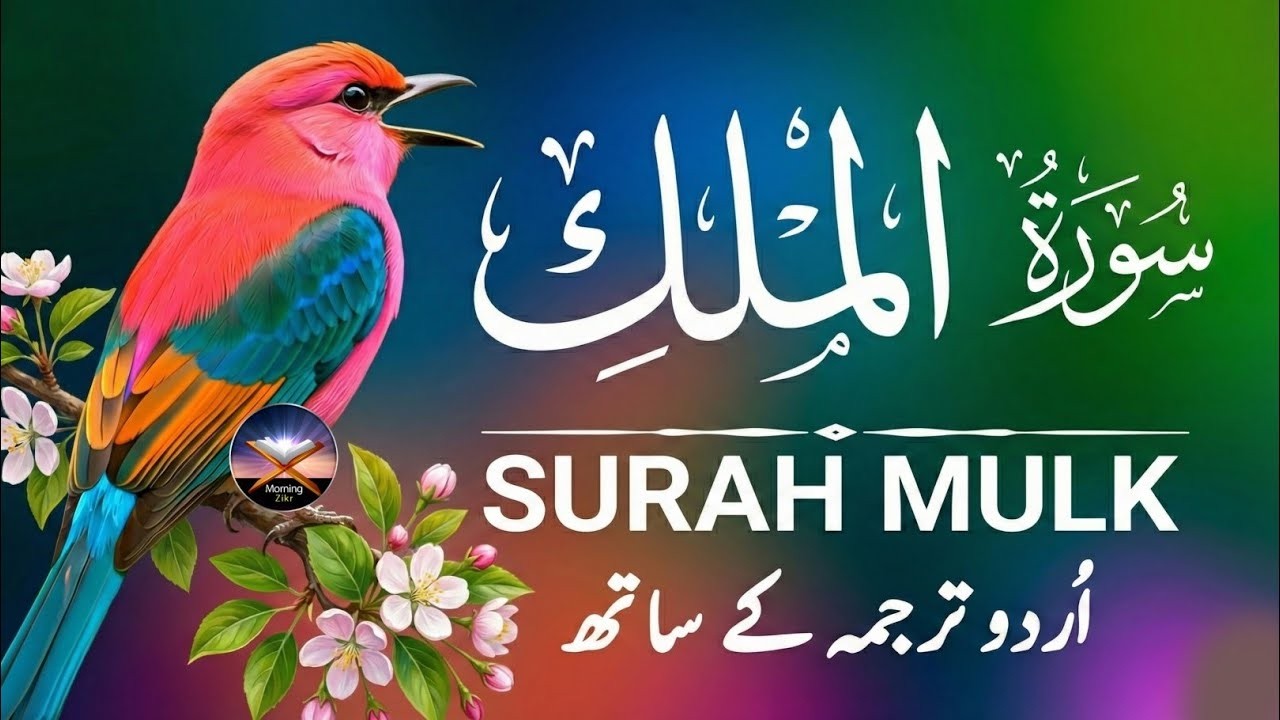 Surah Al-Mulk (سورة الملك) | Beautiful Quran Recitation for Peace, Protection & Sleep #surahalmulk