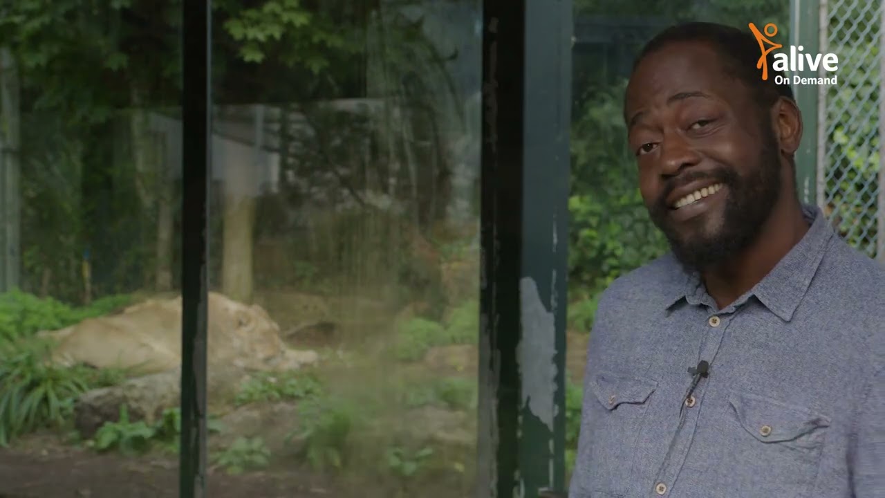 A Day Out at Bristol Zoo with Joe