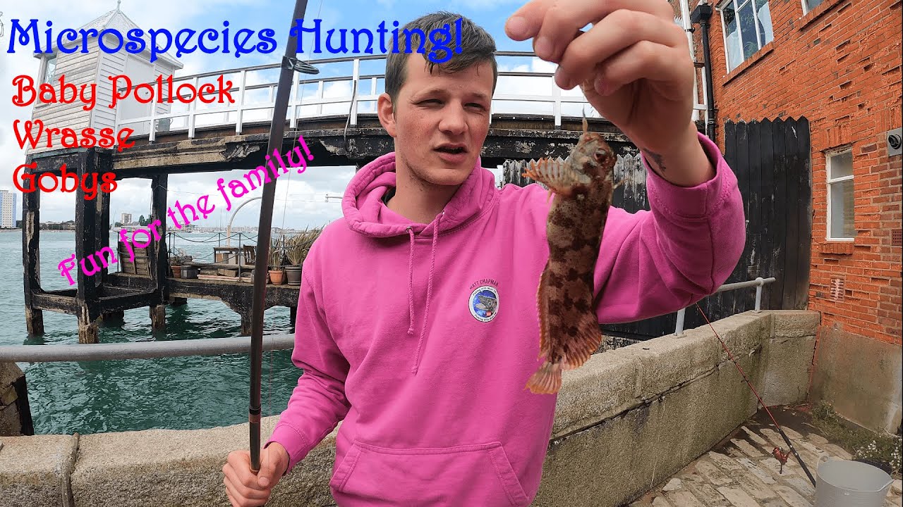 Microspecies Fishing with my Girlfriend! - Old Portsmouth Harbour!