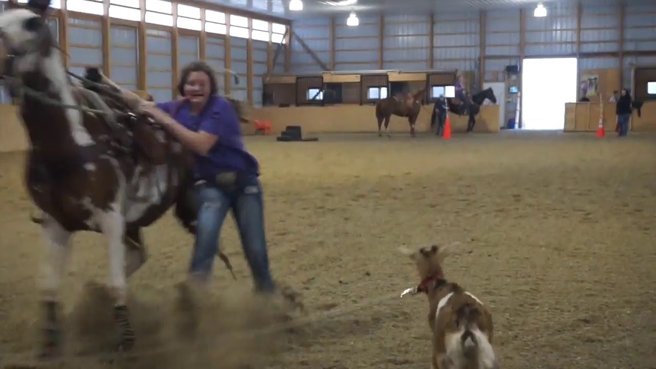 Before and Afters Goat Tying at the Maryland Clinic!! | Leave A Legacy Goat Tying