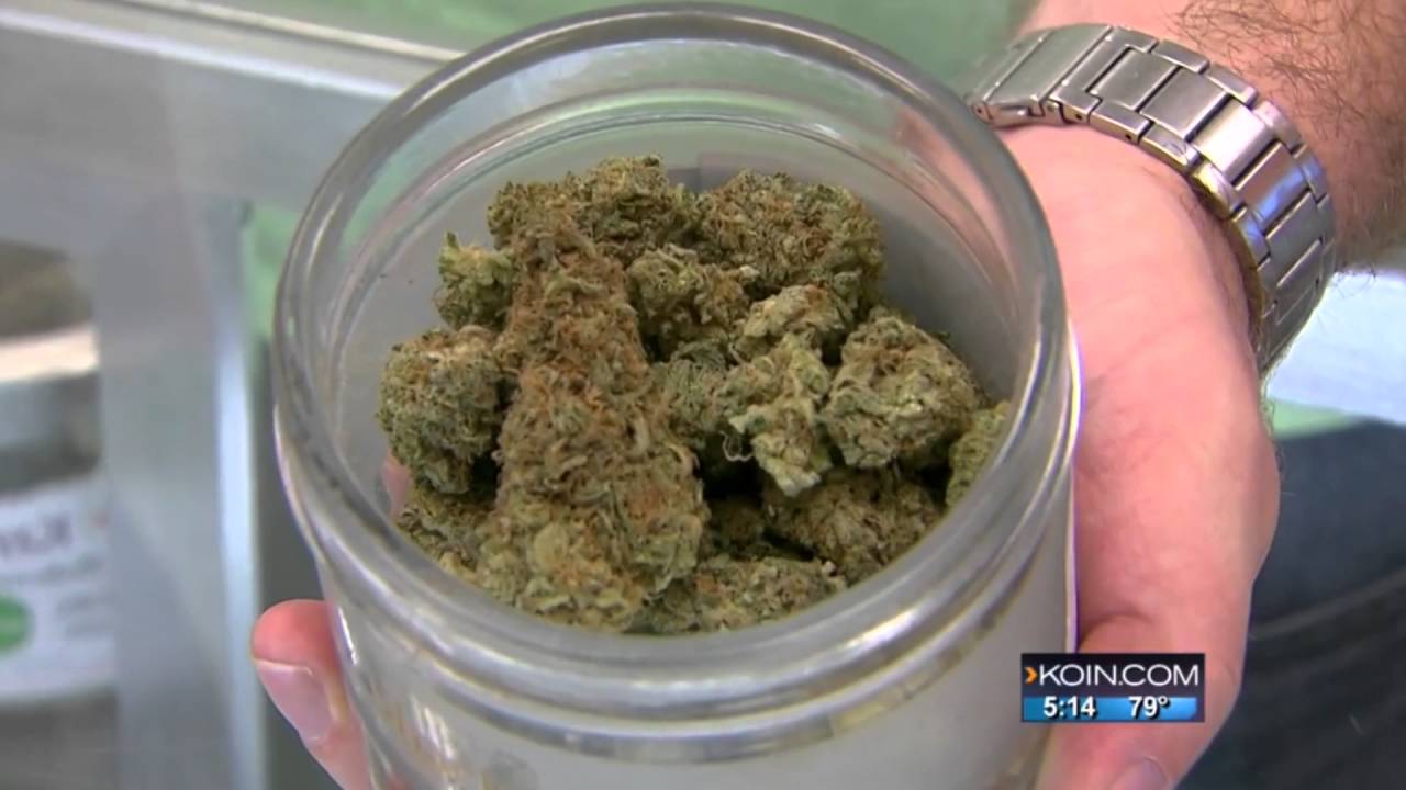 Legal Cannabis Sales Bring Millions To Oregon - KOIN