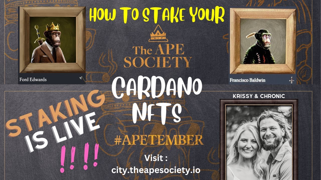 STAKE YOUR NFTS!! THE CITY! THE APE SOCIETY! CARDANO PROJECT, VERY BULLISH! EARN SOCIETY/// ADA ///