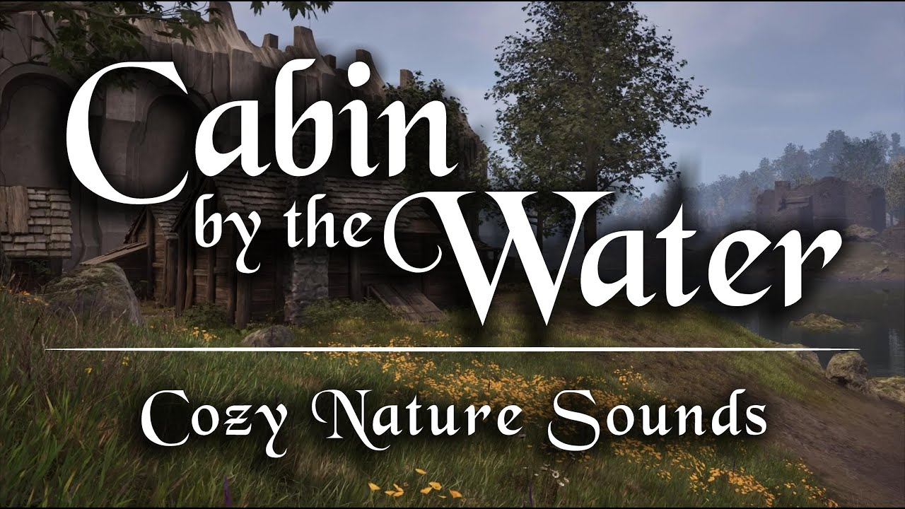 Cabin by the Water [ Gentle Waves, Rustling Trees & Birds Singing for Cozy Sleep, Study & Relaxation