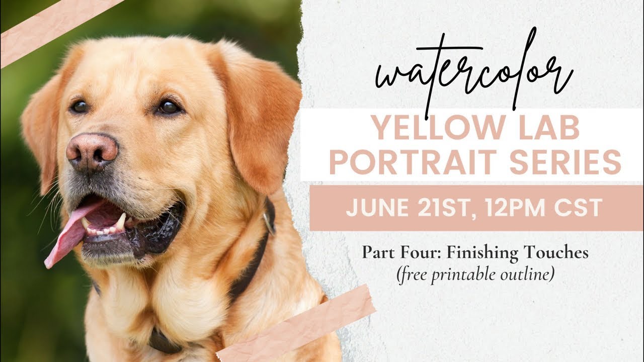 Finale - Yellow Lab Watercolor Portrait Series - Part 4