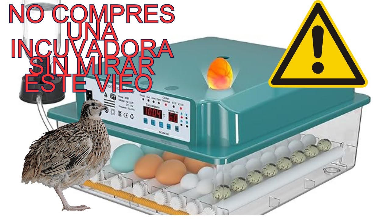 No compres una incubadora sin antes ver este video