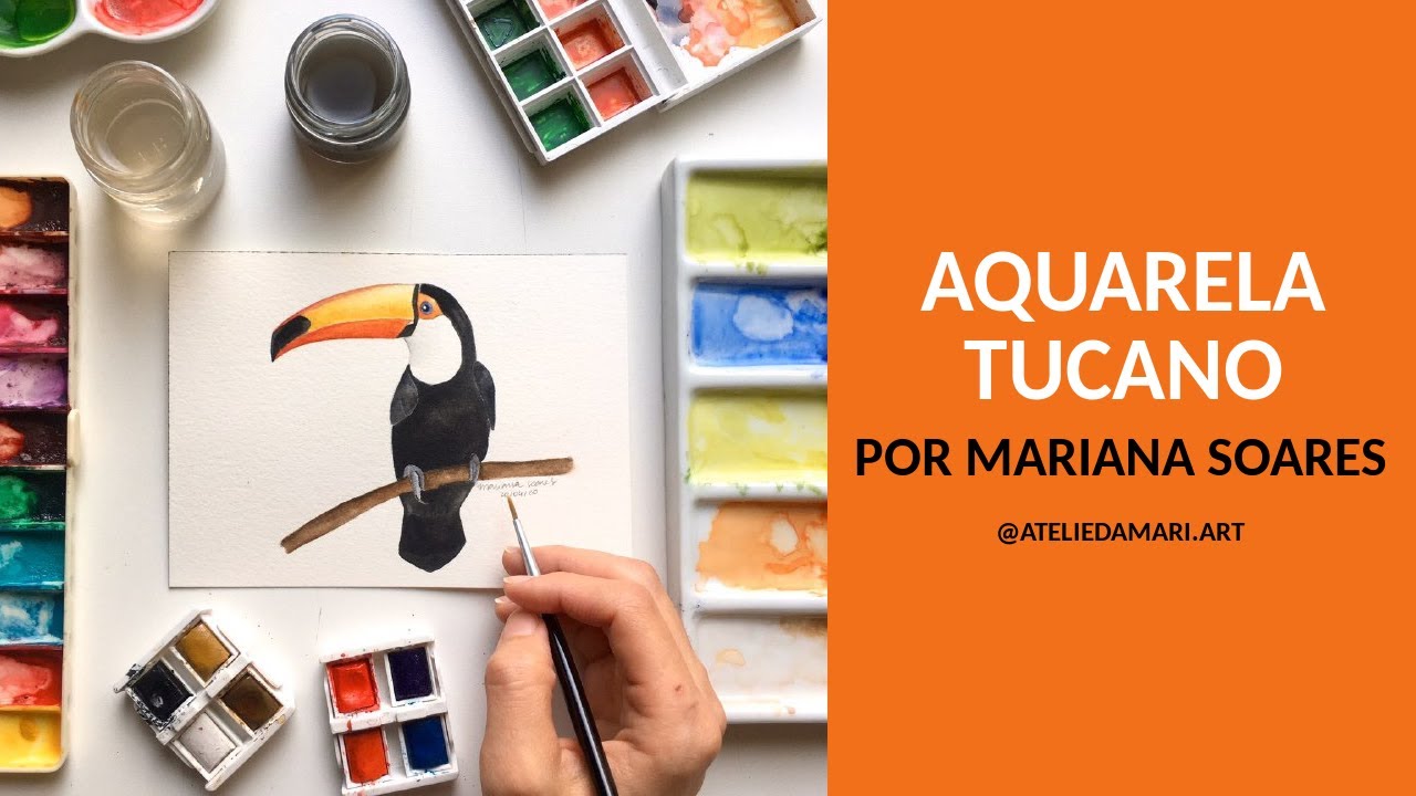 Aquarela tucano | Ateliê da Mari