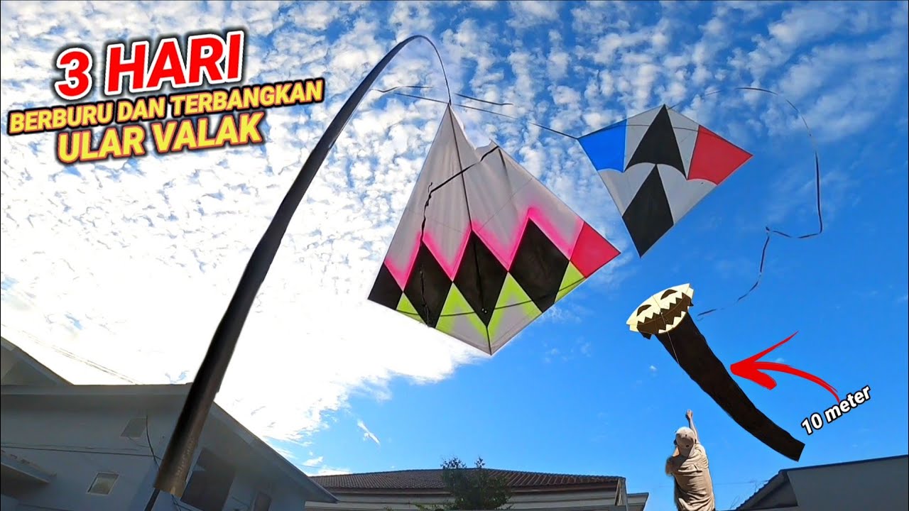 PERTAMA KALI LAYANGAN ULAR VALAK TERBANG DENGAN EKOR 10 METER !!