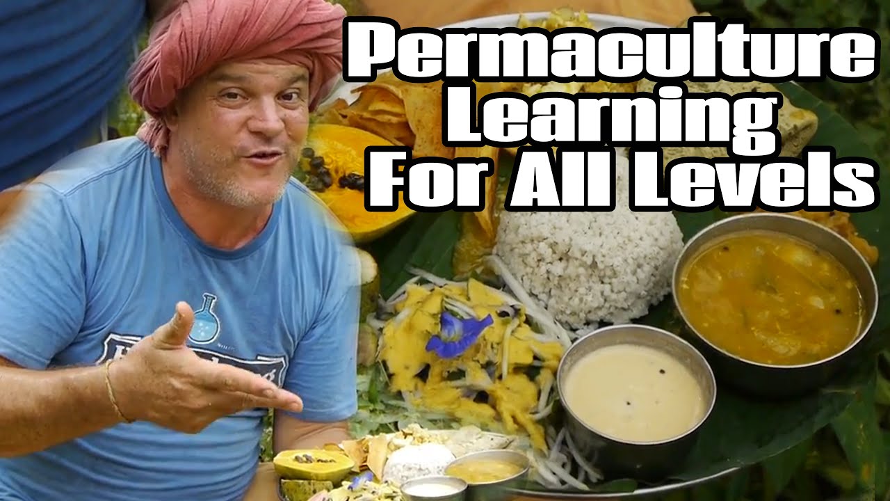 Experiental Permaculture Workshop ☼ School Of Permaculture UPDATED Video