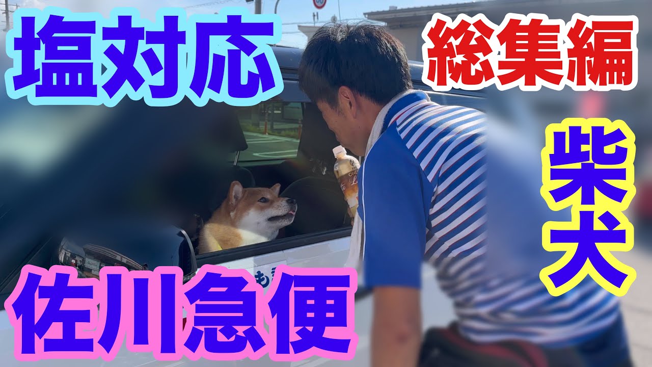 【長編】柴犬と佐川急便さん 塩対応物語