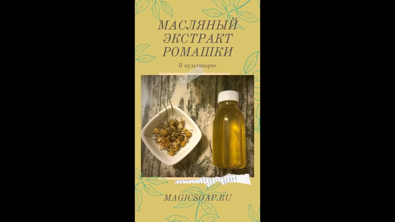 Целебное масло ромашки (мацерат) своими руками в мультиварке